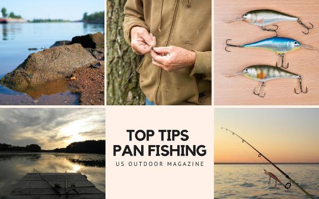 Bites for Pan Fishing